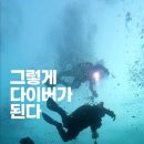 헤이다이버스