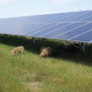 신흥 태양광발전소 이미지