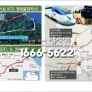 (학교)주문진초 이미지
