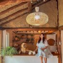 포레스트민박 이미지