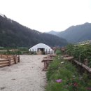 정선아기동물농장 이미지