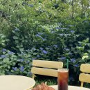 아이스홀릭숲속 | 제주 조천 여누카페 제주도 동쪽 사려니숲길 카페