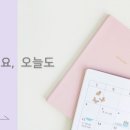 디자인아이엘