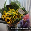 봉곡동366 이미지