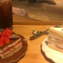 써니터틀 이미지