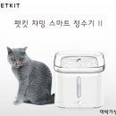 챠밍애견 이미지