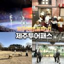 동선2목장 | 제주투어패스 120시간권/둘째날｜아트서커스·테디베어뮤지엄·양떼목장·점보빌리지 후기