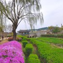 상고앞분식 이미지