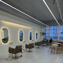 메이에르진 이미지