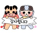 [내돈내산] 전주 본식 DVD 영상 계약후기!_하이스튜디오(더케이웨딩홀)