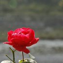 장성병원 중앙 이미지