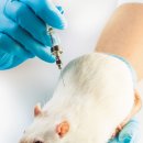 실험나라 이미지