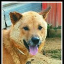 옥천한우농장 이미지