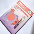 플래시드인 | 어반디케이 페이스 본드 블러쉬 플래시드 아웃 발색 리뷰 / 지속력 최강의 형광 웜 살구 블러셔