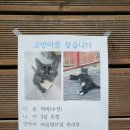 옥이네 손두부 이미지