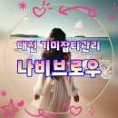 브로우리즈