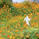 올림픽로 108길 이미지