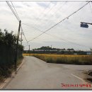 광양농협미곡종합처리장 이미지