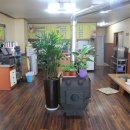 뚱보식당 이미지