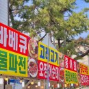 여좌동 한전옆 | 경남 진해 벚꽃 명소 실시간 개화 상태&amp;주차 - 군항제 여좌천 로망스다리, 경화역 벚꽃길