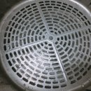 올로르 이미지