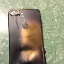 비지닷컴 이미지