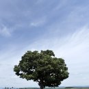 하루식당 - 강동구 | [트리플] 비에이 버스투어 준페이식당, 하루하루투어 후기🌲💚