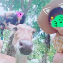 (주)더목란