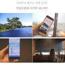 AI 여행 플래너, 마이로 활용해서 제주도 여행 일정 다녀온 후기