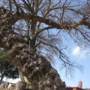 만경읍사무소 이미지