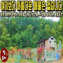 여주-0621 네이버블로그