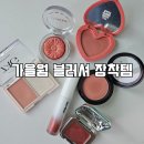 브릭로즈플라워 | 가을웜톤 블러셔 추천 데일리 치크 모음