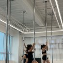 더문폴&댄스 이미지