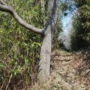 대투정비 이미지