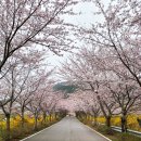 승월경로당 이미지