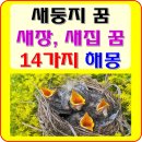 새집 이미지