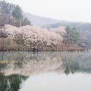 곳고 네이버블로그