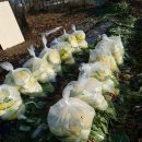 희진농장 이미지