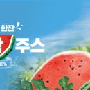 본다방 - 123095 | 본다방