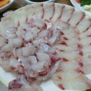 밀양횟집 네이버블로그