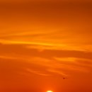 마량포 해넘이.해돋이 축제 이미지