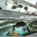동명횟집