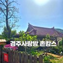 사랑방 | &#34;경주사랑방&#34; 촌캉스후기