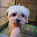 원종어린이집 이미지