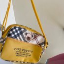 슬기로운 멍생활 이미지