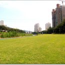 부산의 온천천 서울의 청계천 어느곳이 친환경일까요? 이미지