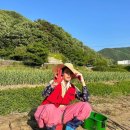 유쾌한농부
