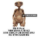 어썸피트니스 이미지