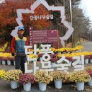 독립기념관 단풍나무숲길 트레킹 이미지