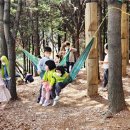 매봉산 유아숲체험원 이미지
